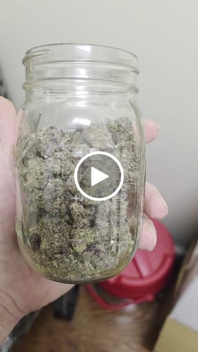 Customer video review of Panama Red Flower Wholesale