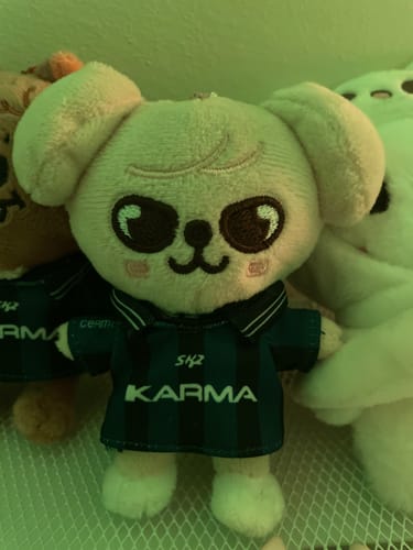 Customer photo review of SKZ KARMA Plush Keyring Ver.