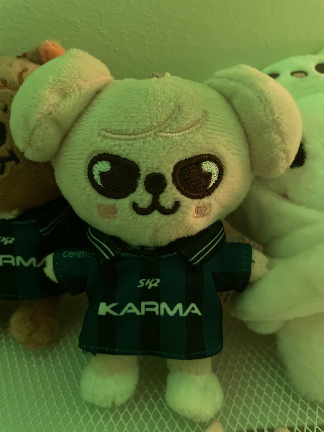 Customer photo review of SKZ KARMA Plush Keyring Ver.