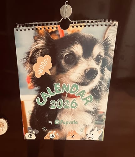 Customer photo review of Cover Model