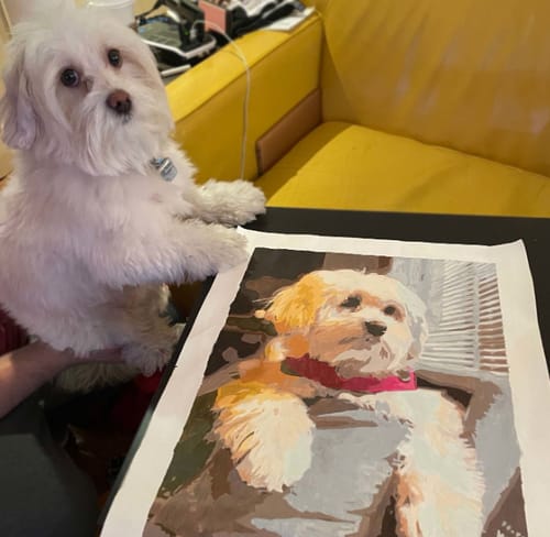 Customer photo review of Custom Pet Paint By Numbers