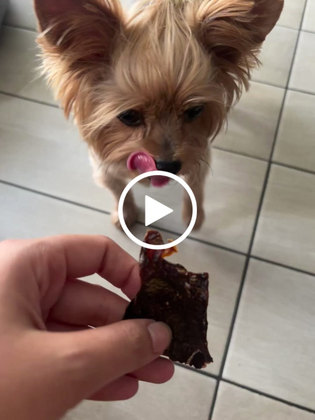 Customer video review of Hígado de vacuno
