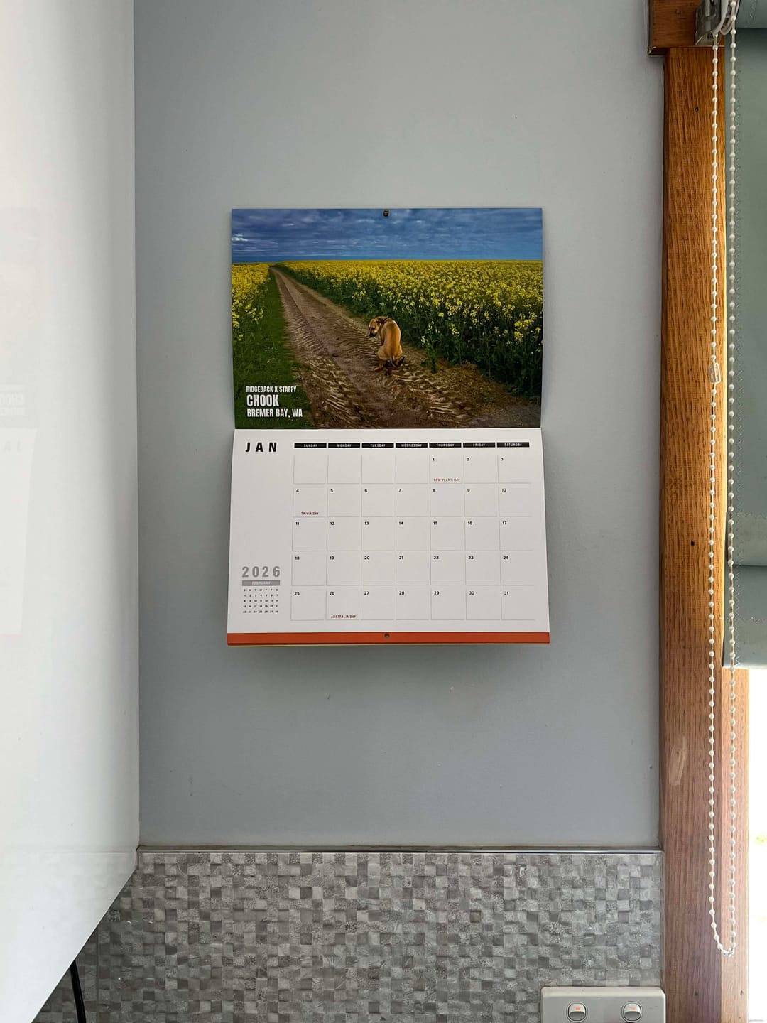 Customer photo review of Dogs Pooping in Beautiful 'Australian' Places 💩🐶 - 2026 Calendar