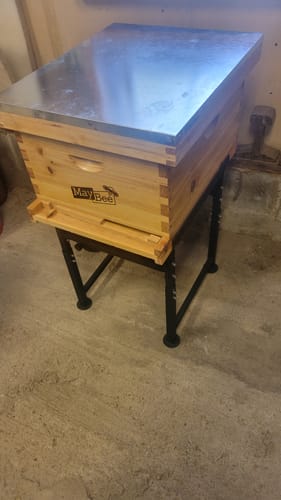 Customer photo review of MayBee Adjustable Metal Bee Hive Stand, Adjustable Height(16.1”-20.9”) Hive Stand, Adjustable Width(15”-19”) Bee Hive Frame Stands Hive Stand Frame