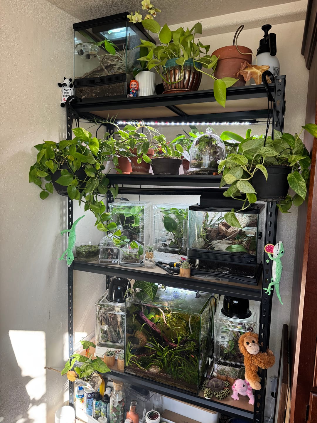 Customer photo review of REIBII 40"W x 16"D Heavy Duty Garage Shelving, 3000 lbs Adjustable Storage Shelves, Metal shelving for Garage, Basement, Pantry, Kitchen & Closet Storage