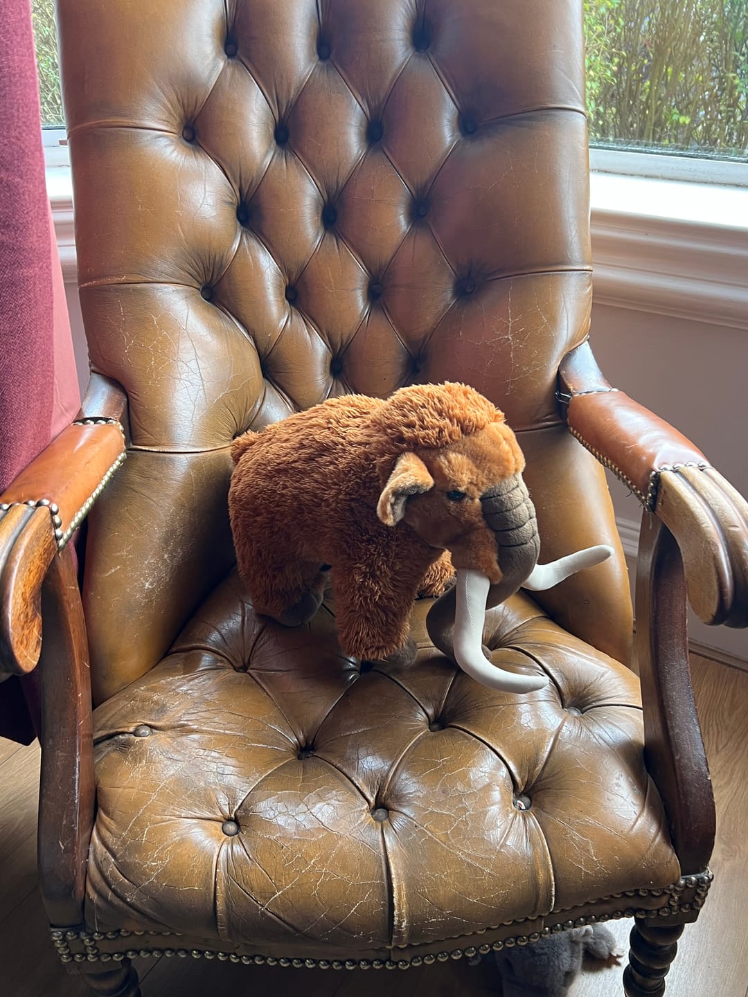Customer photo review of Wooly Mammoth Soft Stuffed Plush Toy