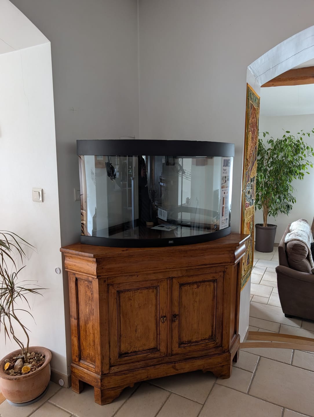 Customer photo review of Aquarium Trigon 190 LED Noir Équipé JUWEL - 190L