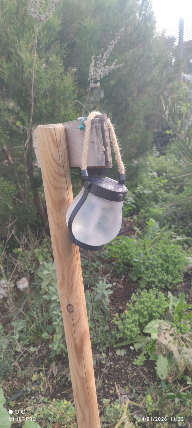 Customer photo review of LlamaViva | Farol con Efecto de Fuego Realista