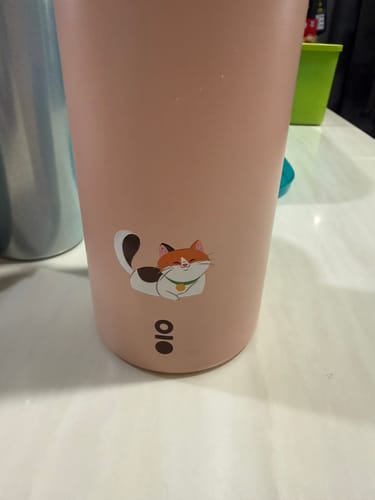 Customer photo review of Disney Cats Ace Bottle Mega