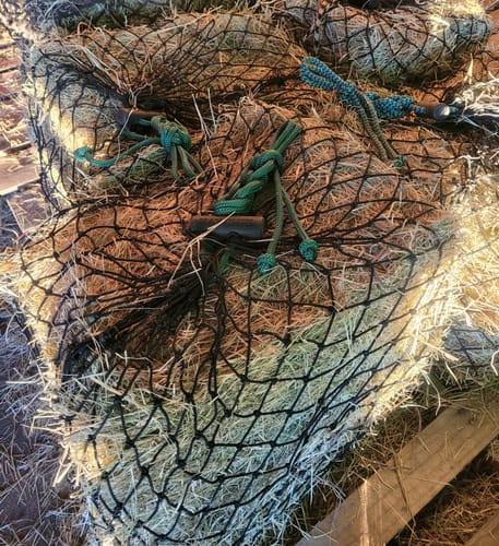Customer photo review of Hay Chix® Half Bale Net