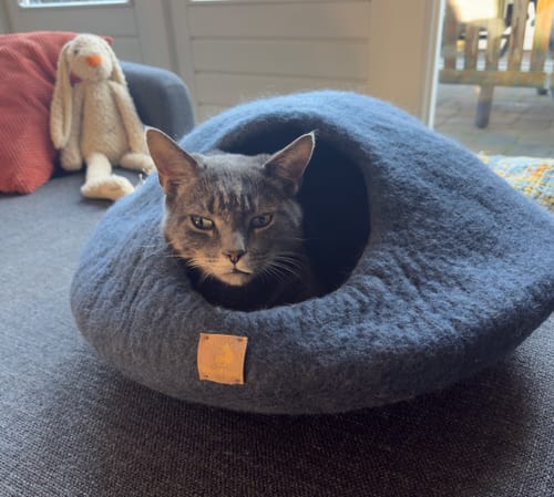 Customer photo review of Premium