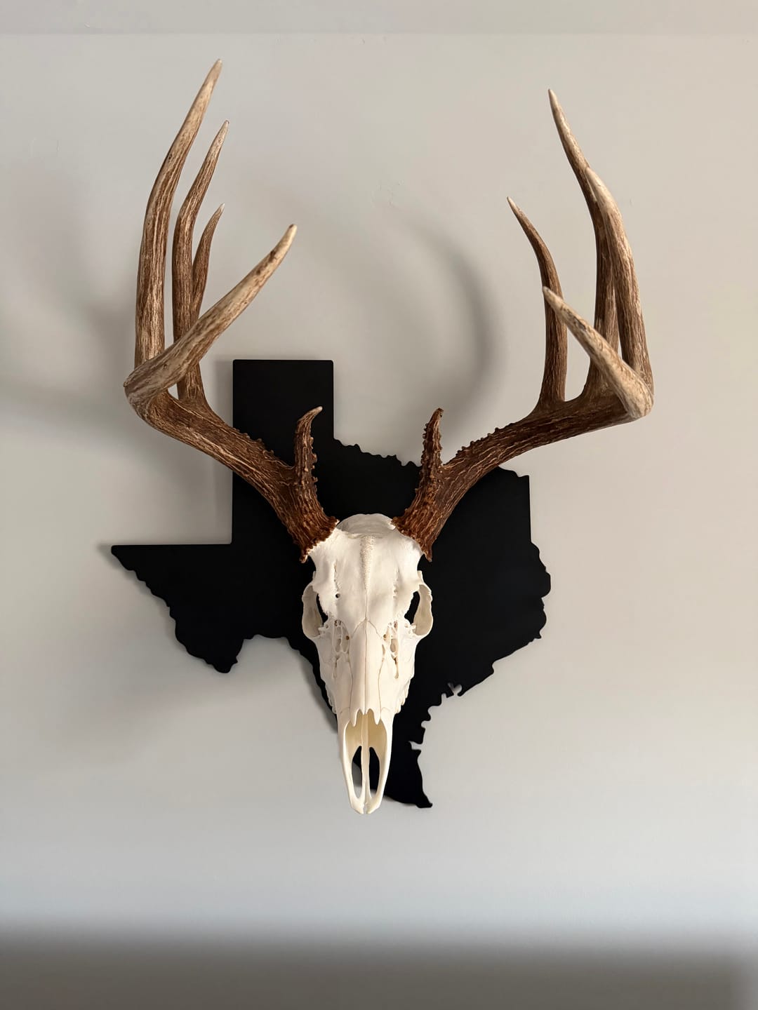 Customer photo review of Medium Game Plaques