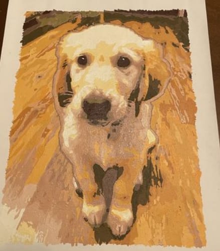 Customer photo review of Custom Pet Paint By Numbers