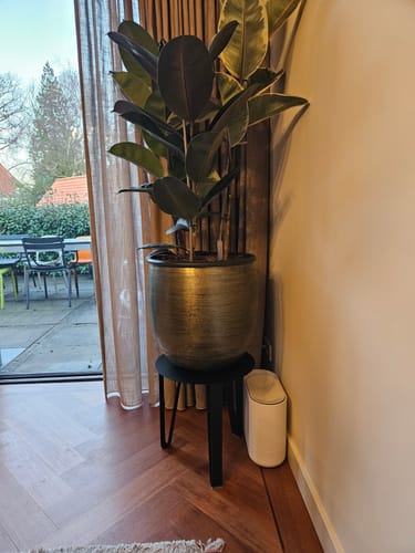 Recensent toont de zwarte by fonQ Clip bijzettafel die wordt gebruikt als plantenstandaard in een hoek.