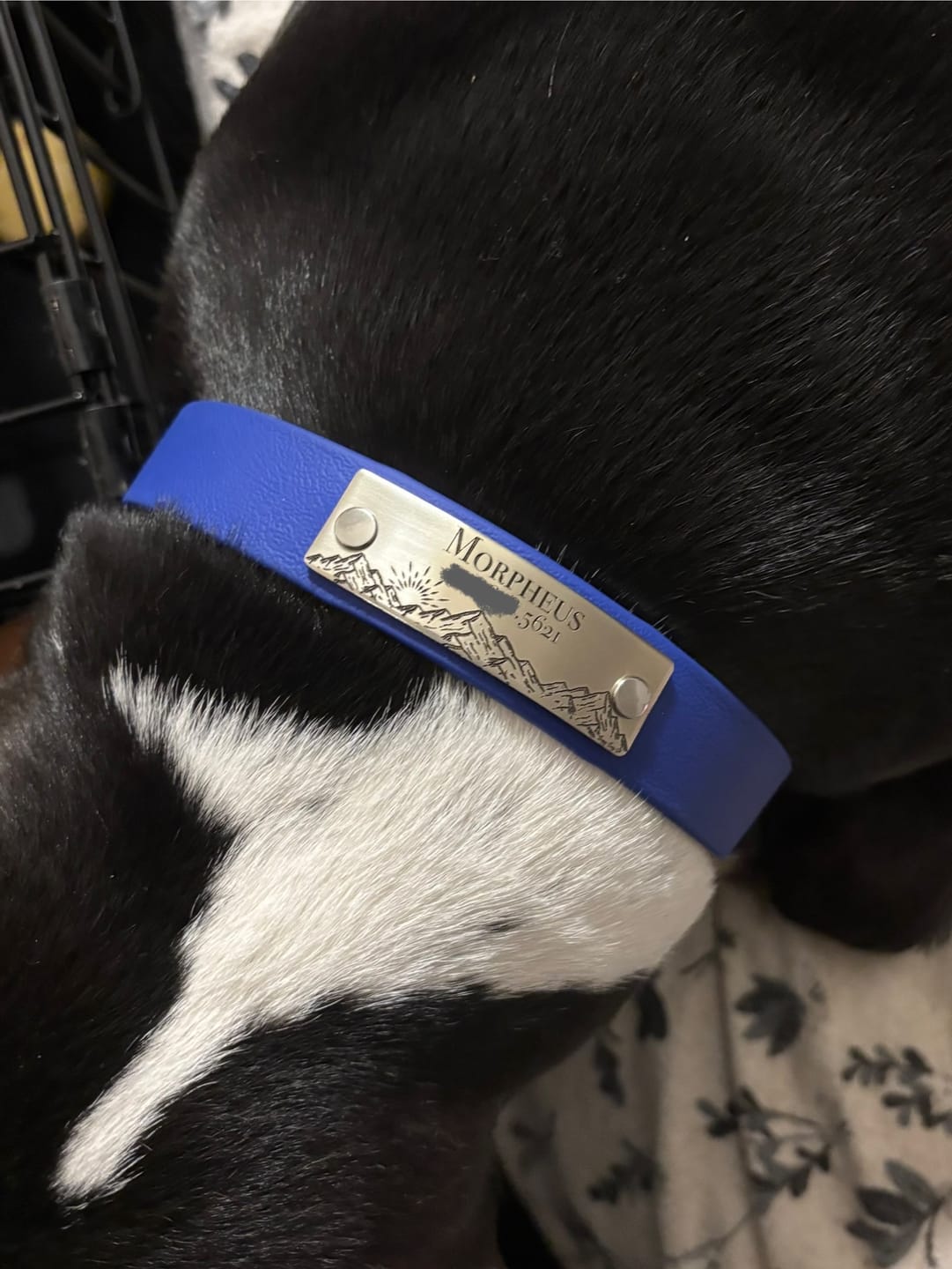 Customer photo review of Designer Rivet-On Tag