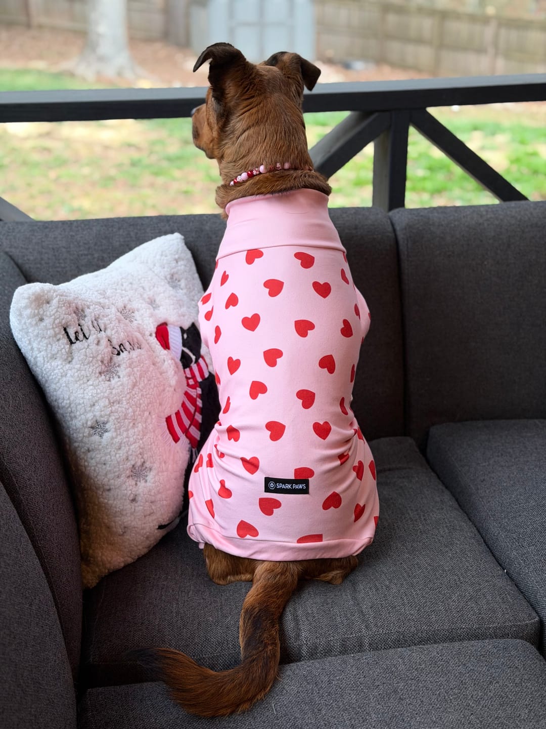 Customer photo review of Dog Pajama - Pink Hearts