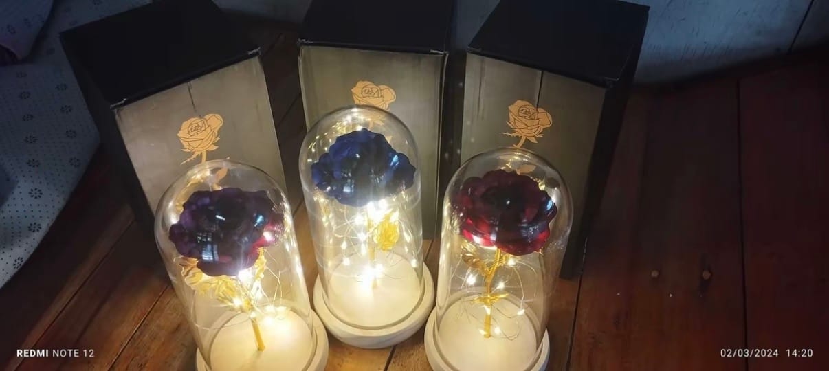Customer photo review of EverGlow Rose - Lamp