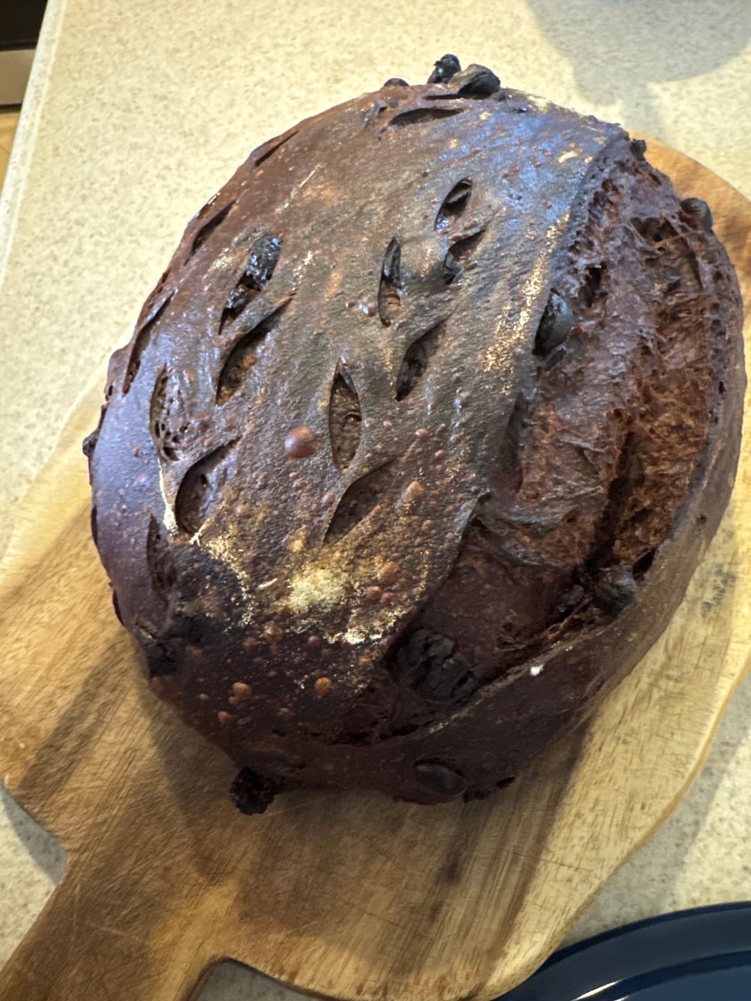 Customer photo review of Live 118 Year Old Valrhona CHOCOLATE Sourdough Starter Includes Maintenance PDF & Chocolate Noir Loaf Recipe