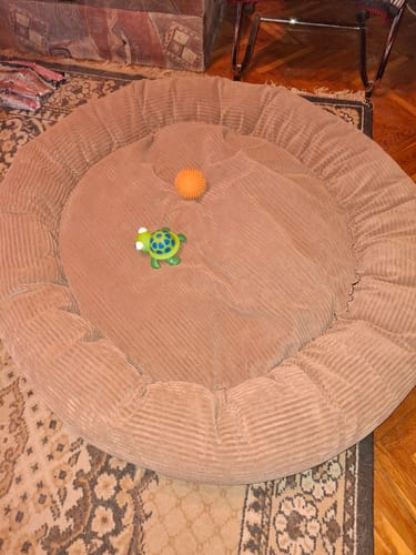 Customer photo review of CozyNest Prémium Puha Fánk Alakú Kutya és Macska Fekhely