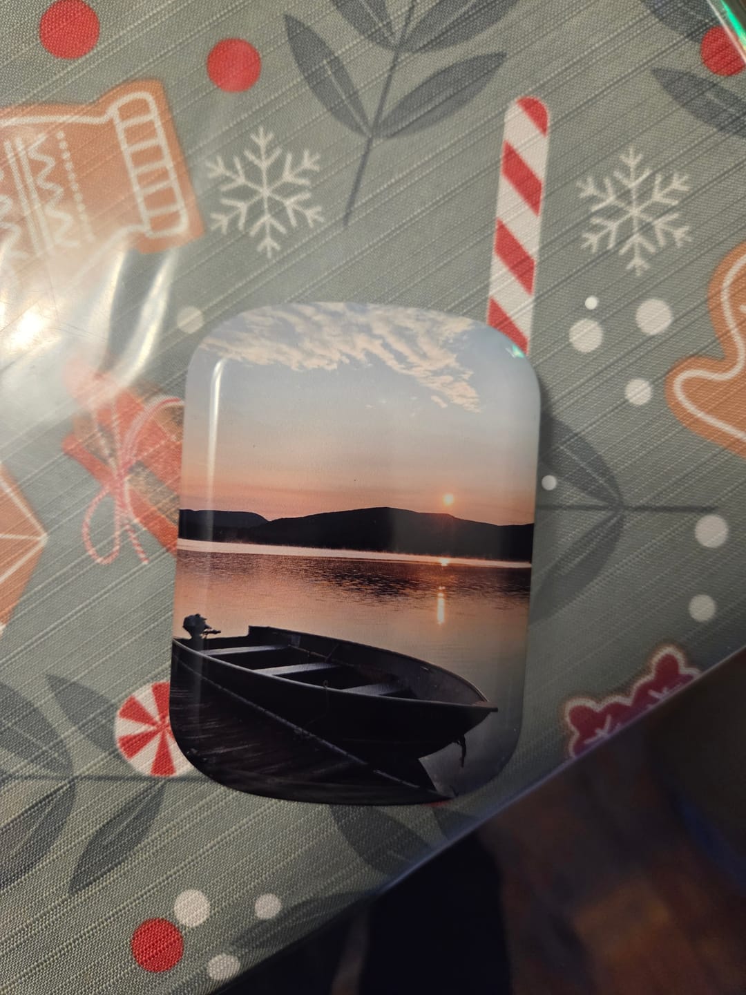 Customer photo review of Custom - ChargePod - Battery + Shell