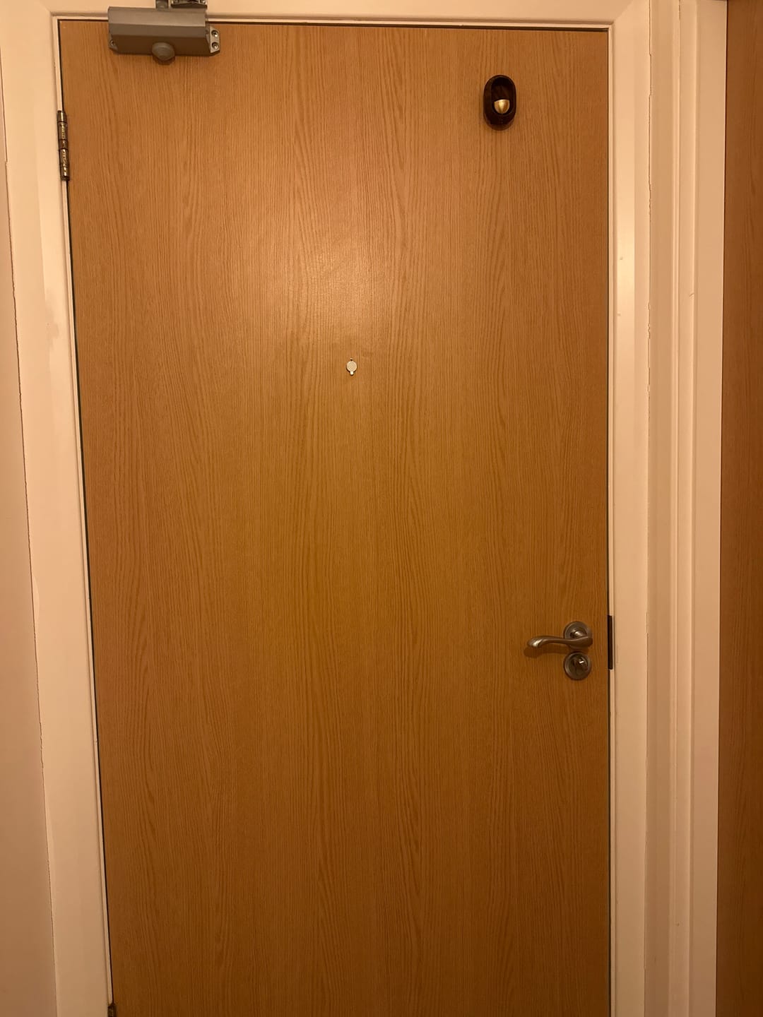Customer photo review of Feylona - Aura Door Chime