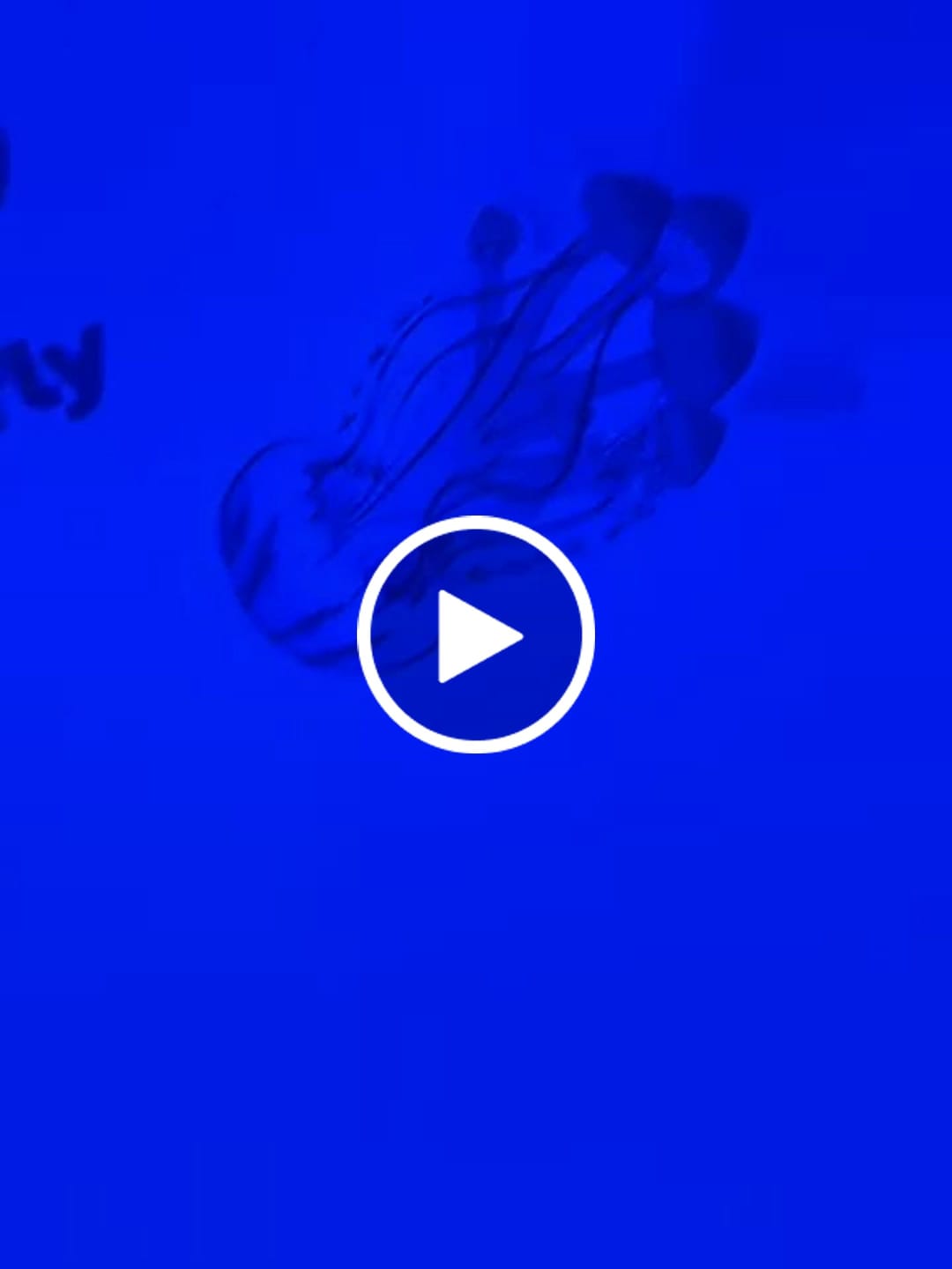 Customer video review of Non Detect Raw Mushrooms