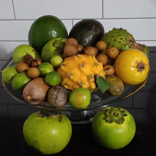 Customer photo review of Tropical Variety Box