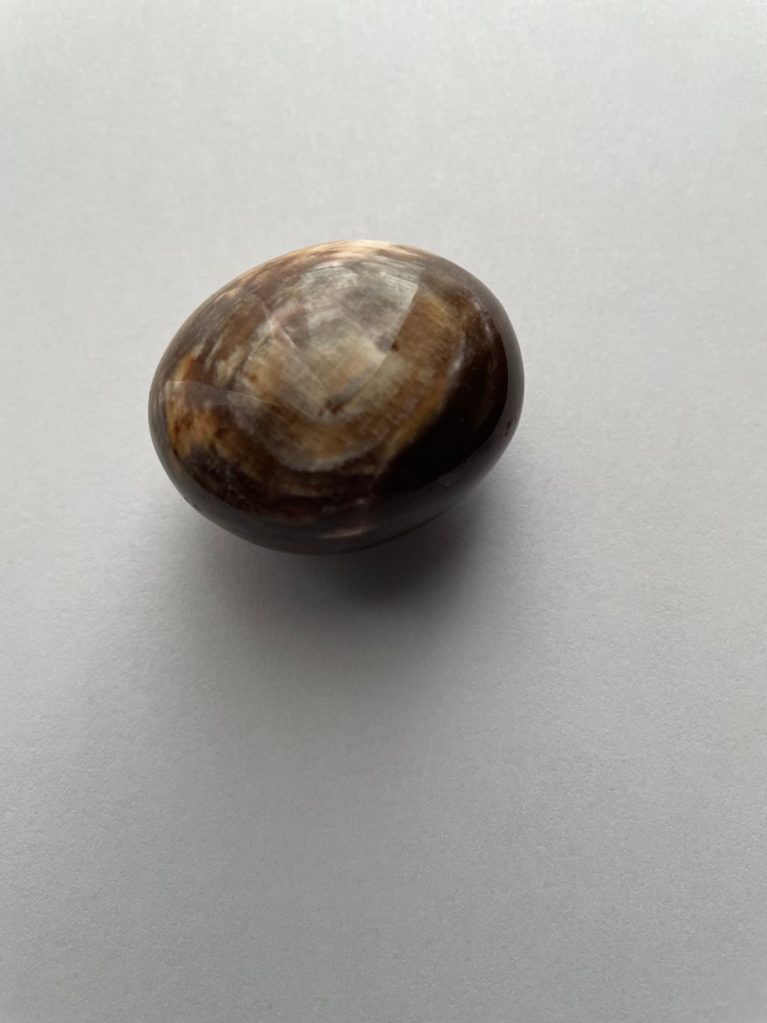 Customer photo review of Bois Silicifié - Mini-galet