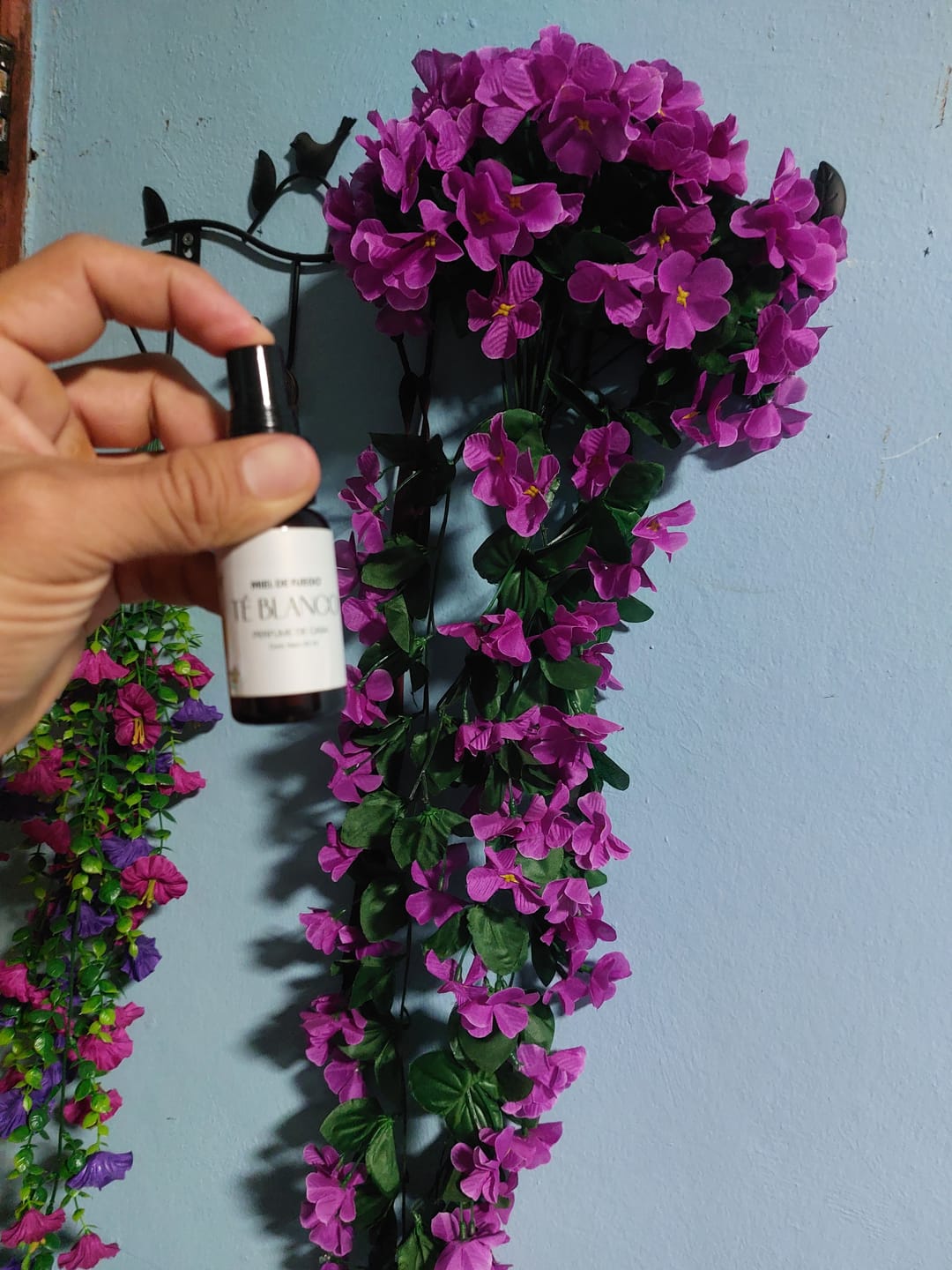Customer photo review of Clásicos de Lujo