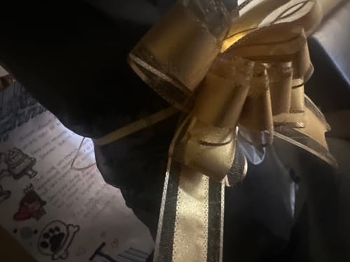 Customer photo review of Calvin Klein CK One Eau de Toilette Spray for Men and Women