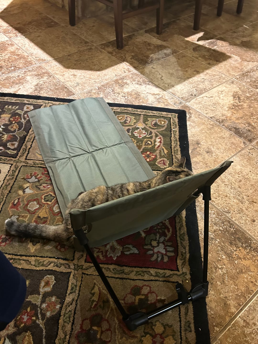 Customer photo review of SitzFix – Portable Backrest