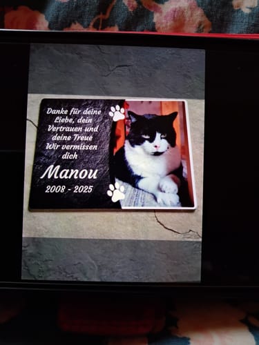 Customer photo review of Katzen Gedenktafel mit Foto & Spruch (UV- & Wetterfest)