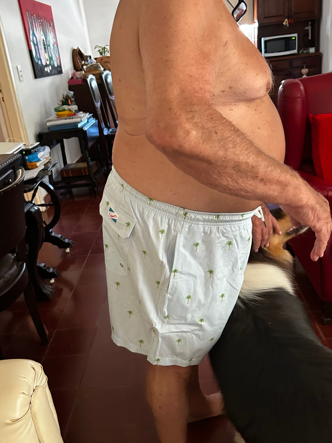 Customer photo review of Palm Stripes