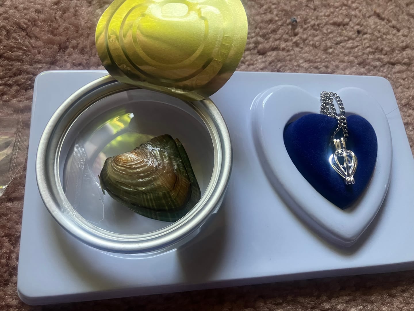 Reseña con foto de cliente del Kit de collar de perlas FabuLove
