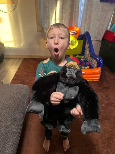 Customer photo review of Majestic Silverback Gorilla Plush – Realistic and Huggable