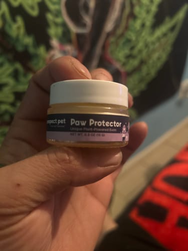 Customer photo review of Paw Protector