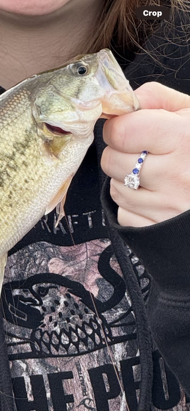 Customer photo review of Round Moissanite With Sapphire Pave Engagement Ring