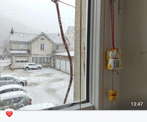 Customer photo review of Daruma Japonais Bleu - 9 à 15 cm