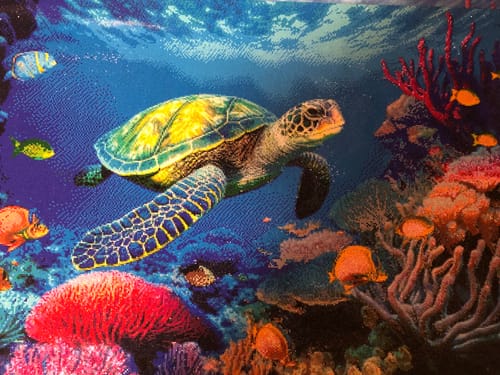 Customer photo review of 5D Diamond Painting – Schwimmende Schildkröte