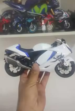 Customer photo review of 1:9 Hayabusa GSX 1300 - Ashriders™