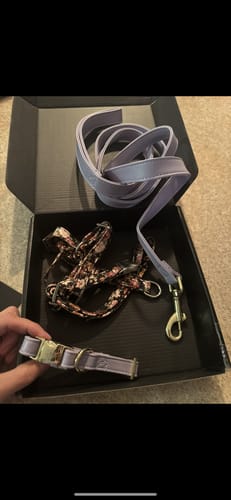 Customer photo review of Mystery Box - Dog