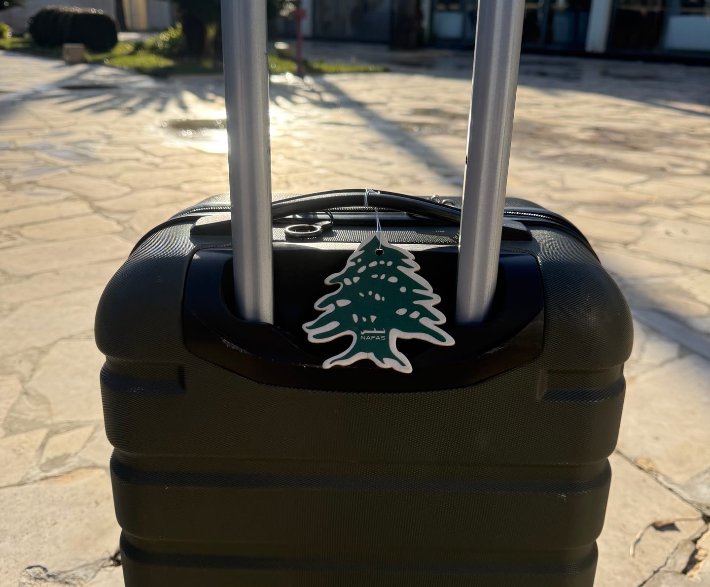 Customer photo review of Lebanese Cedar Air Freshener + Sticker Pack