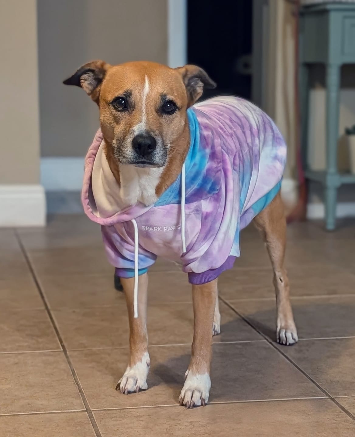 Customer photo review of Velvet Dog Hoodie - 90s Retro