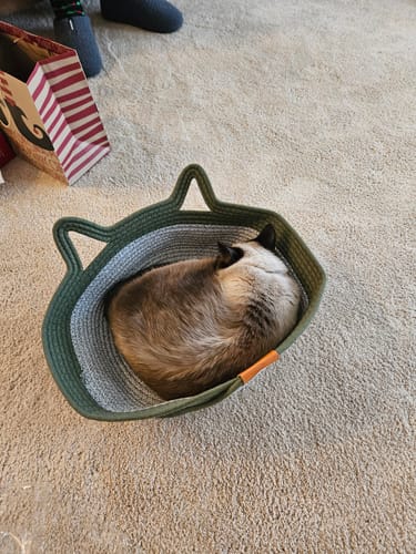 Customer photo review of Instinct Basket | Handwoven & Chemical-Free Cat Territory