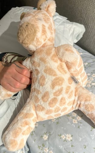 Customer photo review of Welcome To The World Soft Toy - Ziggy Zebra