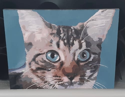 Customer's finished artwork from a Custom Paint by Numbers Kit, showing a painted portrait of a tabby cat with blue eyes.