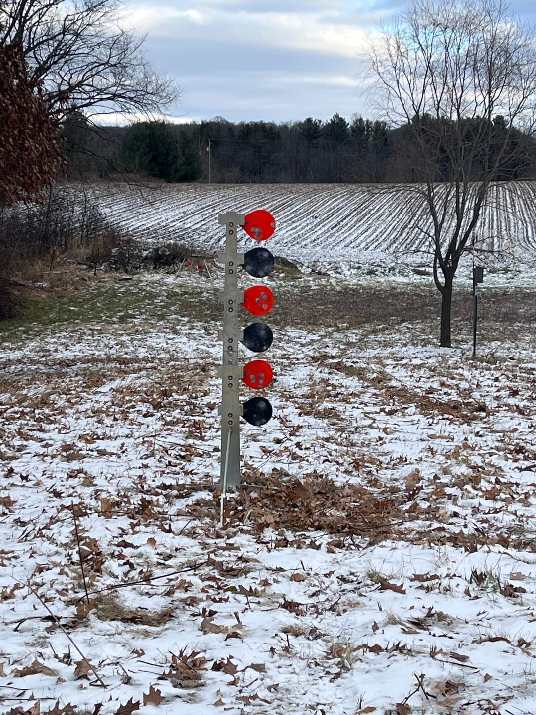 Customer photo review of Dueling Tree Target