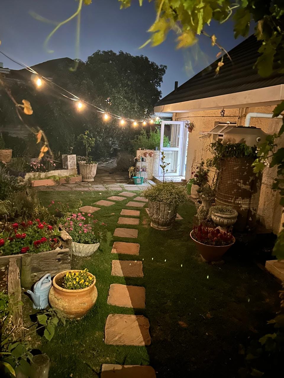 Customer photo review of Solar Festoon Bulb String Lights