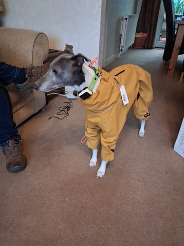 Customer photo review of ThermaLuxe - Fleece-Lined Trouser Suit Coat