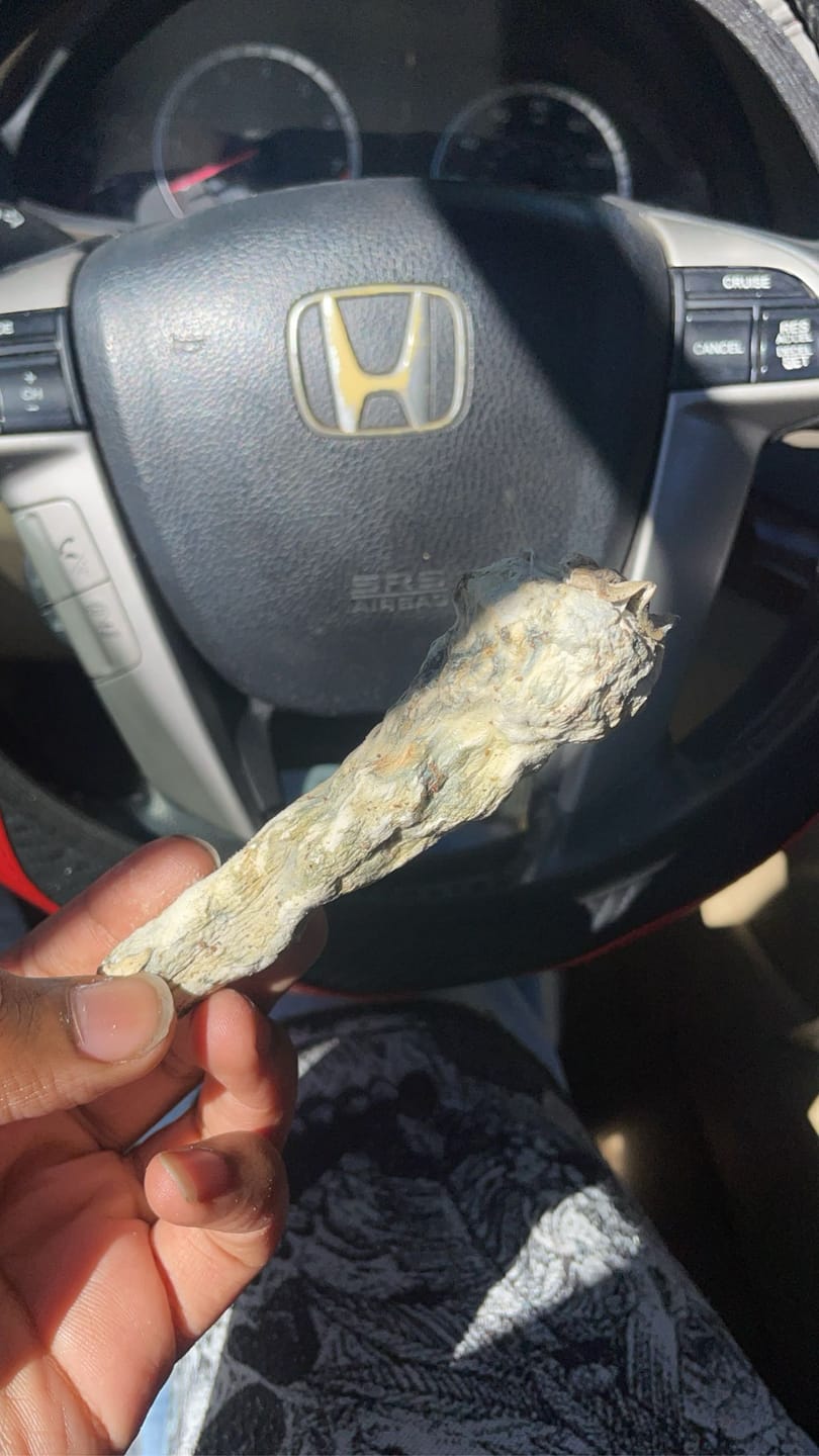 Customer photo review of Non Detect Raw Mushrooms